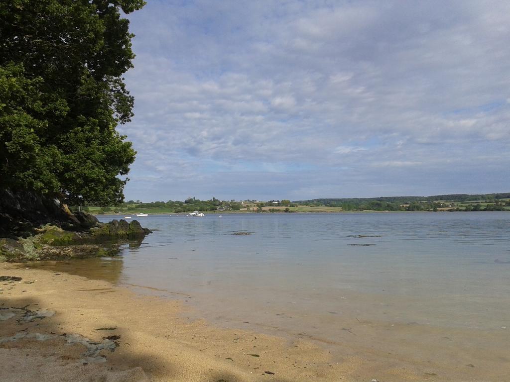 Gite De La Plage Lézardrieux المظهر الخارجي الصورة